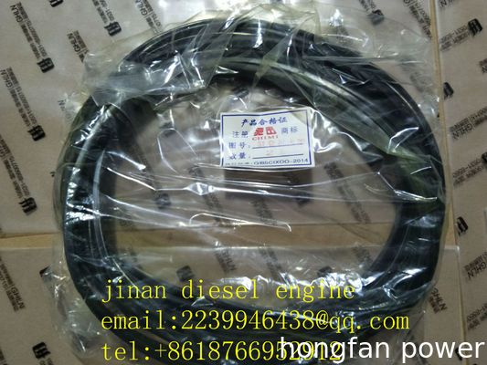 jichai JDEC JINAN diesel engine co,ltd chidong diesel engine parts H16V190ZLT2-2 GAS GENERATOR