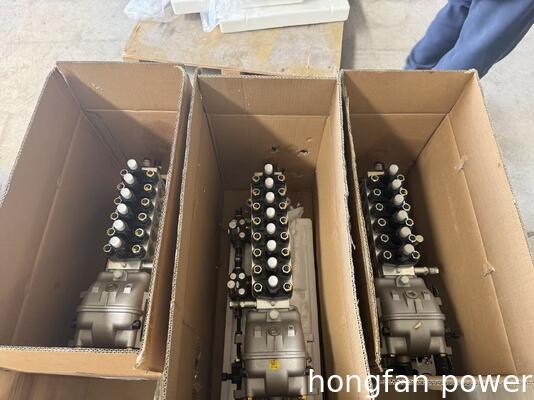 Injection Pump BHT8P170LY	for Jichai 8190 engine C8190 208L.12P.00
