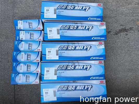 Weichai WP4 diesel marine engine Nozzle 13027052 factory