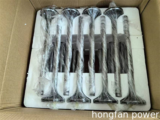 WEICHAI 6160ZC1	nozzle825B.00.00 DOP160S825-1424 Oil pump 160A.11B.00