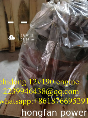 jichai JDEC JINAN diesel engine co,ltd chidong diesel engine parts H16V190ZLT2-2 GAS GENERATOR