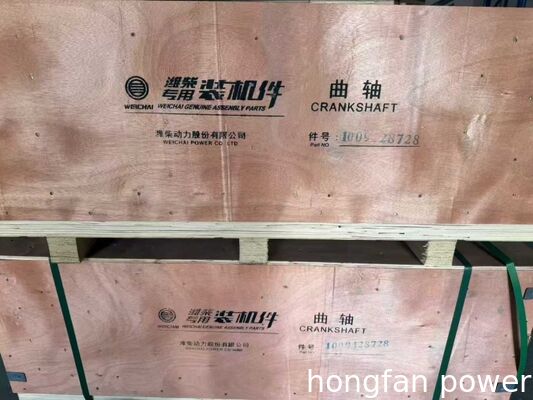 Injection Pump 1002376848 for weichai 6170 8170 diesel engine