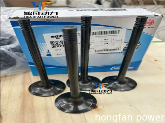 Nozzle 830F.02 used in Weichai R6170ZC350-1 diesel engine parts