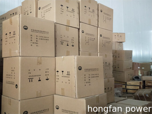 Jichai Jinan 500KW G12V190ZLDT 1000R/min Natural Gas Generator Spare Parts Oil filter