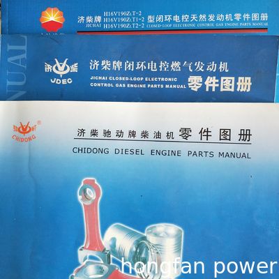 Co1300-3/20 Bl12V190zl Jinan Diesel Engine Parts for Drilling