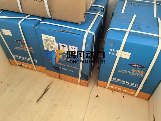 zichai 8300 gas generator spark plug S-R807BEX21-2 original parts fatcory manufacturer