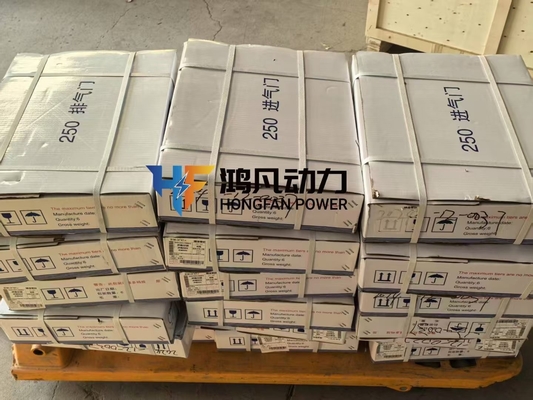 zichai 8300 gas generator spark plug S-R807BEX21-2 original parts fatcory manufacturer